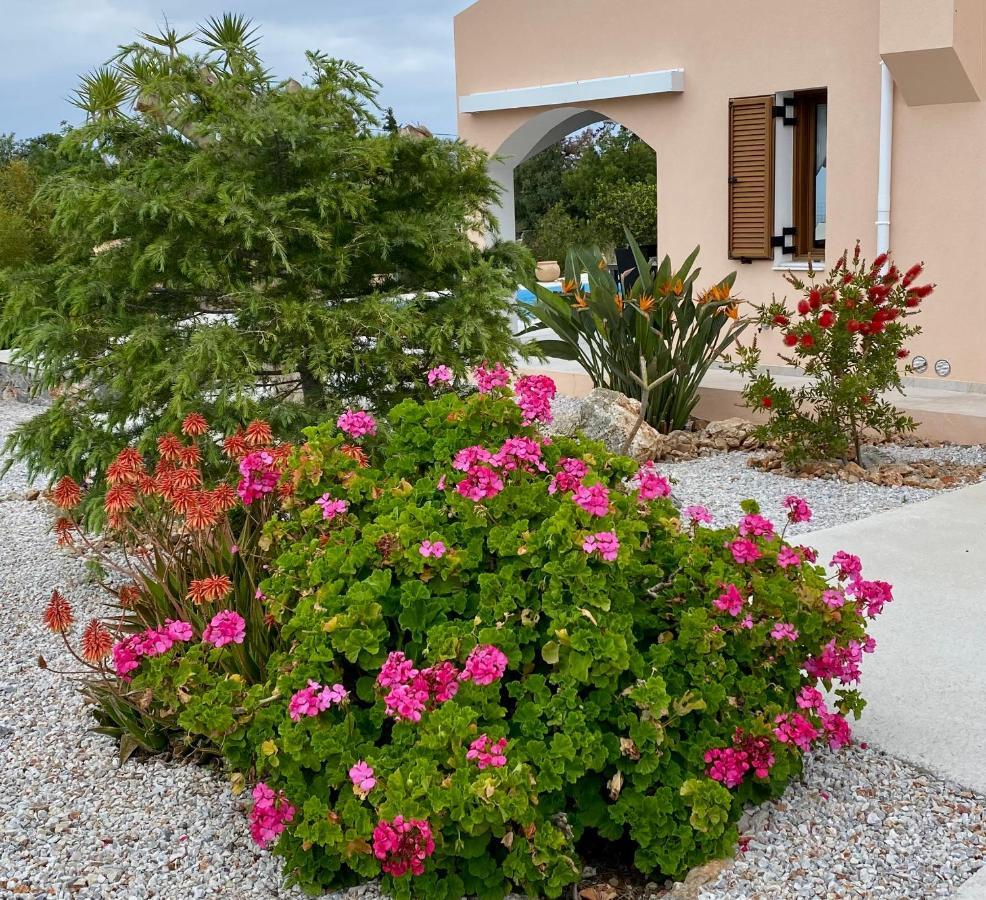 Villa Lp Kokkino Chorio Extérieur photo